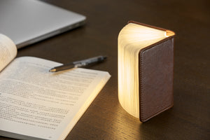 Gingko Smart Book Light