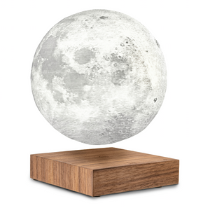Gingko Smart Moon Lamp