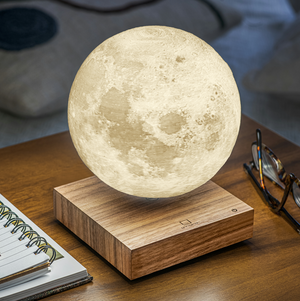Gingko Smart Moon Lamp
