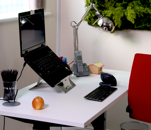 Actiforce Sit-Stand Electric Desk